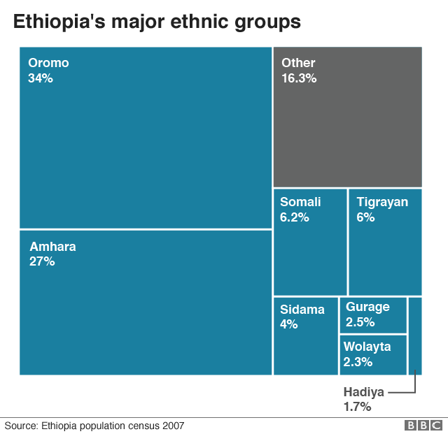 Diagrama care prezintă compoziția etnică a Etiopiei