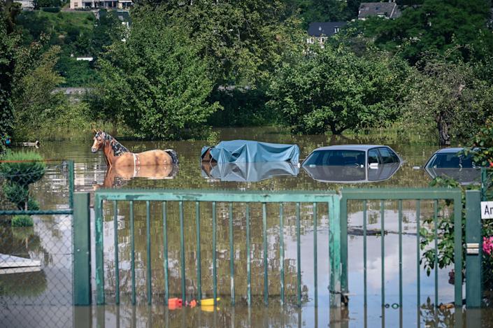 Apele de inundație au inundat mașini și o figură de cai în Hattingen, Germania, joi. 
