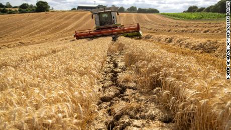 Mare ușurare pentru a transporta cereale ucrainene, dar criza alimentară nu merge nicăieri