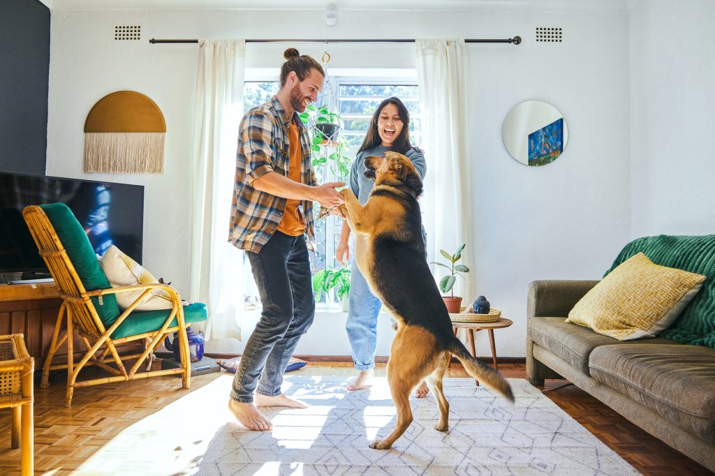 Cuplu tânăr care se joacă cu câinele lor acasă.